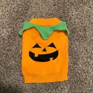 🎉HP🎉 Pumpkin dog sweater 🎃